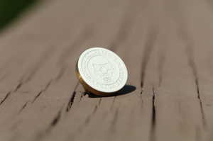 BUTTONS <br><I>Customize your housing design