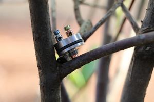 BATTLE DECK + RDTA <br><I>restocked 3/20</I>