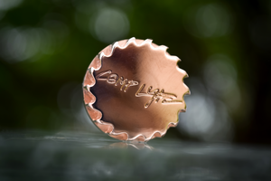 COMP DISC/BUTTON<br><I>housing extension</I>