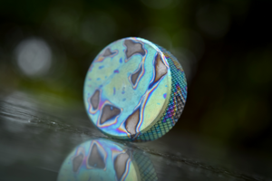 COMP DISC/BUTTON<br><I>housing extension</I>
