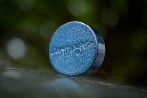 COMP DISC/BUTTON<br><I>housing extension</I>