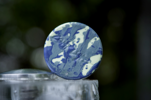 COMP DISC/BUTTON<br><I>housing extension</I>